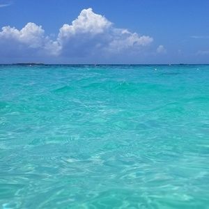 Meet your Posher, Yuliet